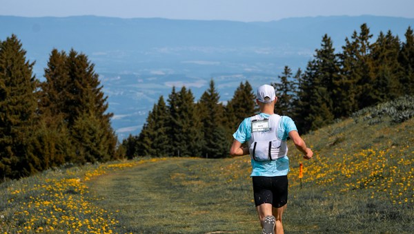 Trailrunner läuft durch Wildblumen einen Bergpfad hinauf.